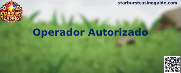 Guía para comprobar si un operador de juegos cuenta con autorización y medidas de seguridad en México