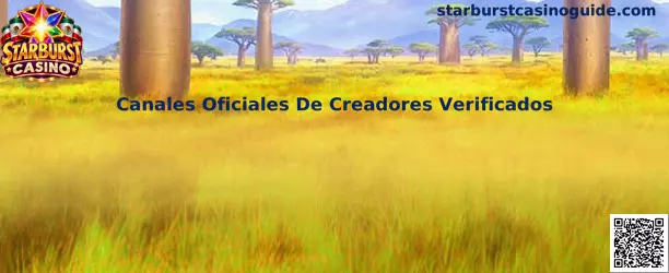 Canales Oficiales De Creadores Verificados